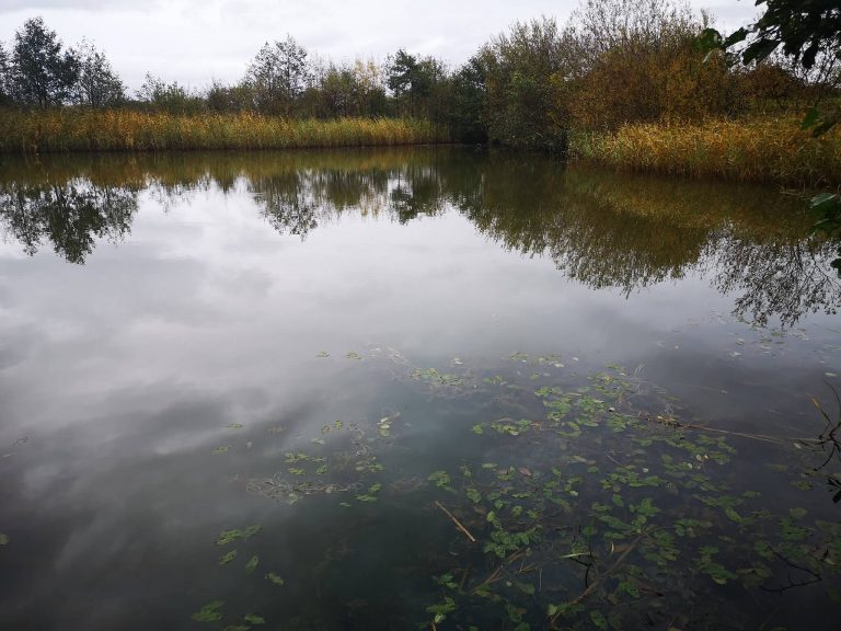 Brooms Cross Fishery